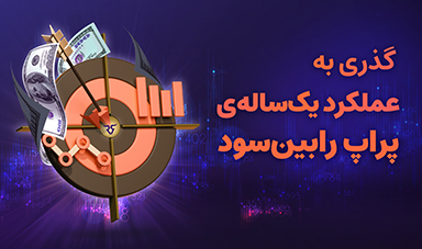 گذری به عملکرد یک ساله پراپ رابین‌سود