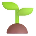 🌱