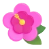 🌺