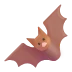 خفاش